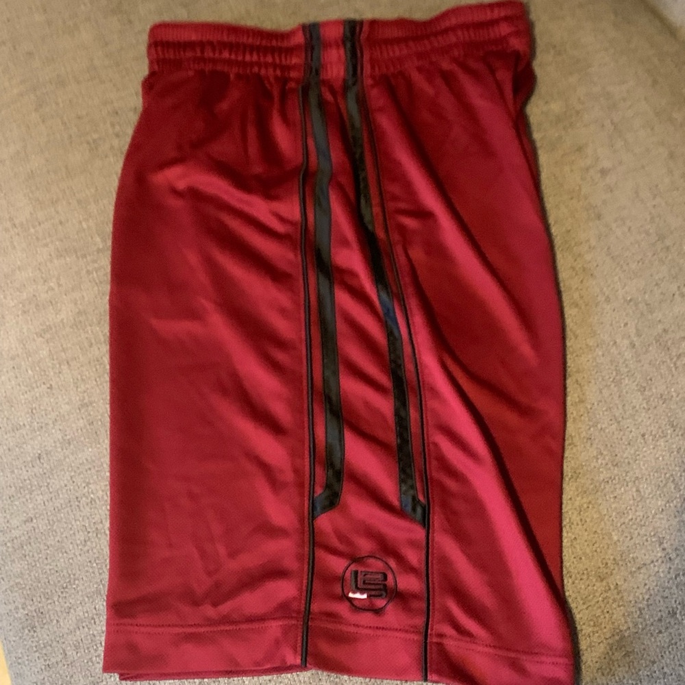 Men's Nike Lebron James Sz L Basketball shorts